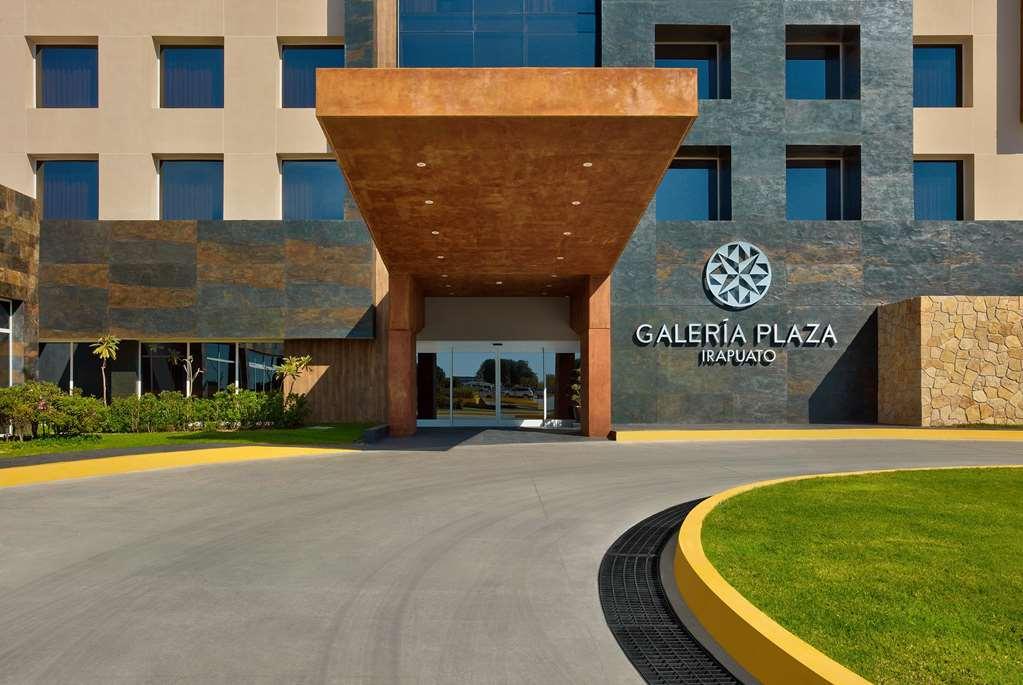 Galeria Plaza Irapuato酒店 商标 照片